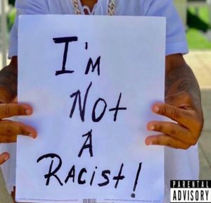 A Music by Plies titled I'm Not A Racist Mp3 Download