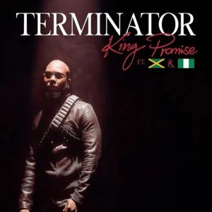 King Promise - Terminator (Remix) ft. Sean Paul & Tiwa Savage