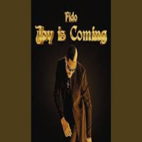 Fido - Joy Is Coming Mp3 Download