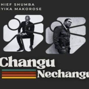 Chief Shumba Hwenje - Changu ft. Nyika Makorose