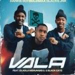 Dankie Boi - Vala ft. GoldMax, Blacks Jnr, Dladla Mshunqisi & Black Catz