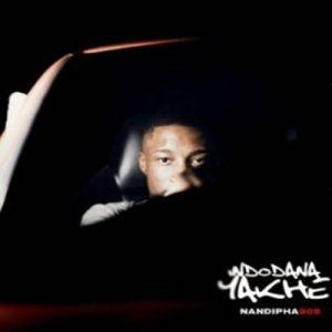 Nandipha808 - Trick Or Treat ft. Ceeka RSA & Shakes & Les