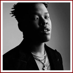 Nasty c - Twisted