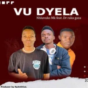 Nyandical - Vudyela .Nhluvuko Mk ft. Mr Cyclone