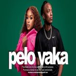 Shandesh - Pelo Yaka ft. Kaycherlow NLL