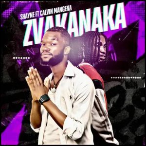 Shayne - Zvakanaka ft. Calvin Mangena