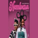 Lwah Ndlunkulu - Nembeza ft. Mawhoo