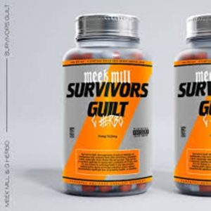 Meek Mill - Survivor's Guilt ft. G Herbo
