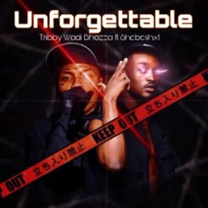 Tribby Wadi Bhozza - Unforgettable ft. Shebeshxt